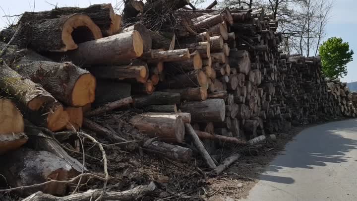 Bioenergie Sauerland